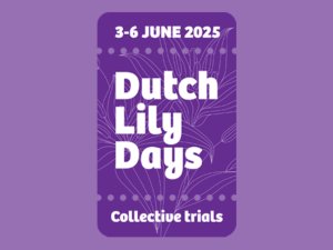 Dutch Lily Days 2025